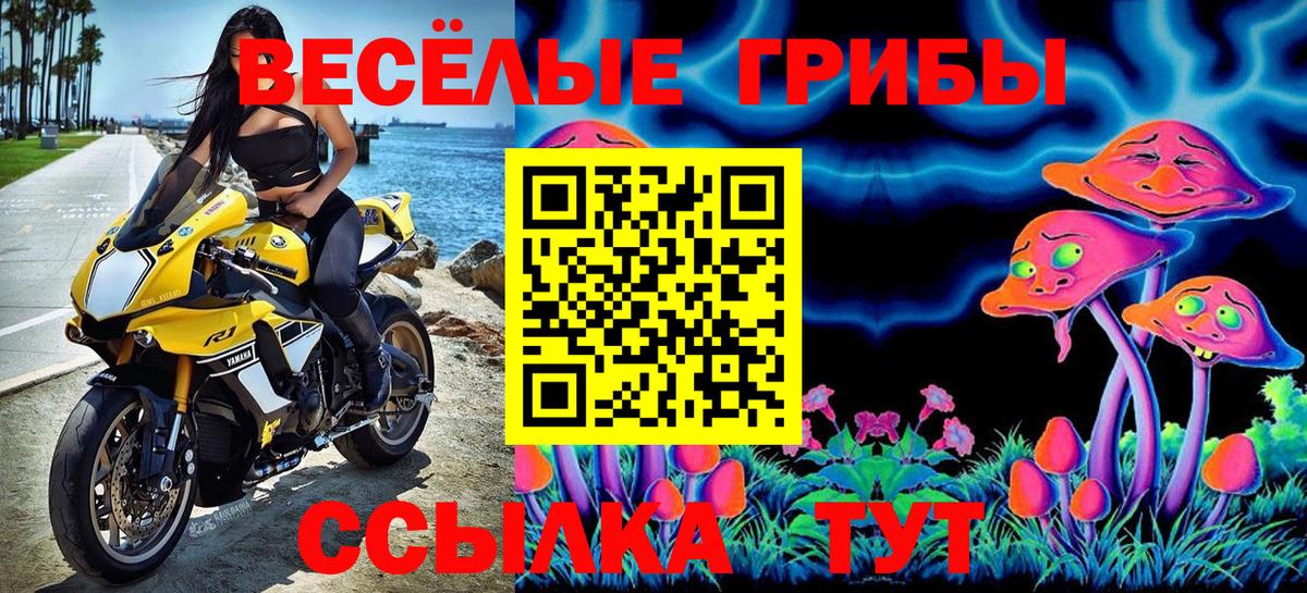 Галлюциногенные грибы Magic Shrooms  Вход с VPN  Кувандык 